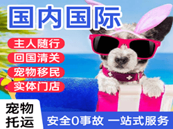昌北机场货运国际宠物托运 【国